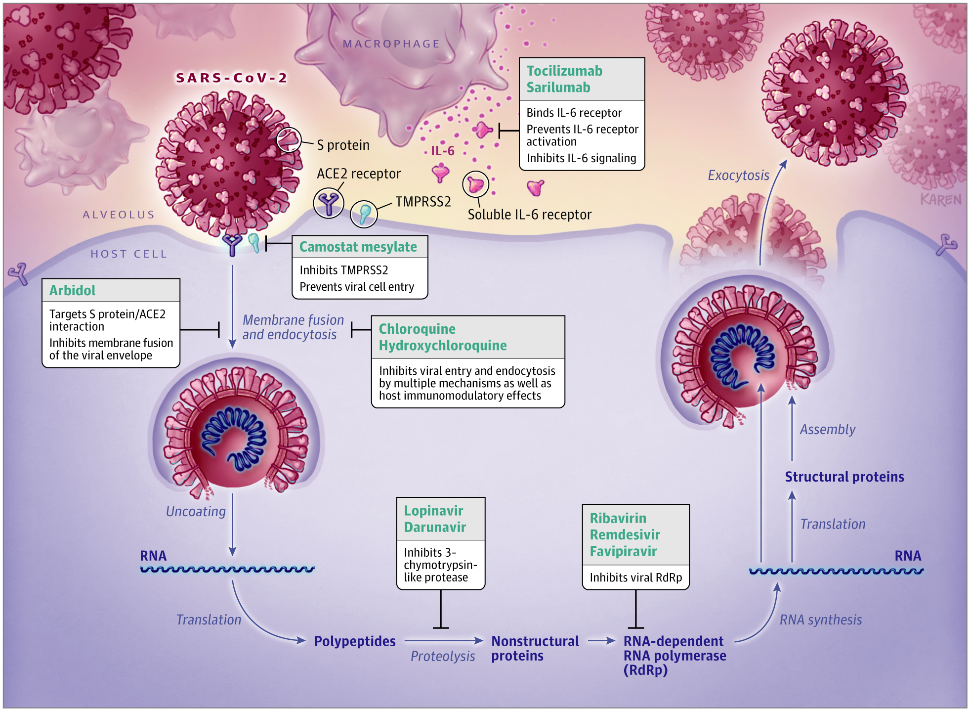 Pharmacologic Treatments for Coronavirus Disease 2019 (COVID-19)