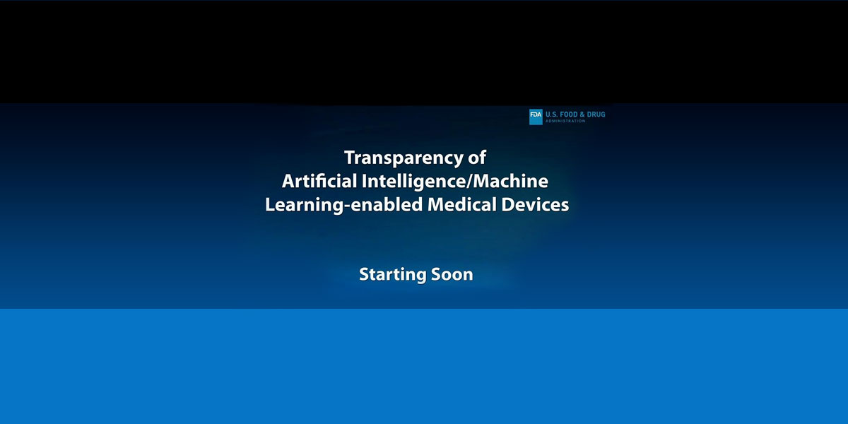 Transparency of Artificial Intelligence/Machine Learning-enabled Medical Devices